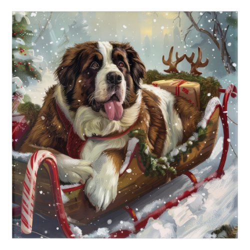 Saint Bernard Dog Christmas Festive  Acrylic Print