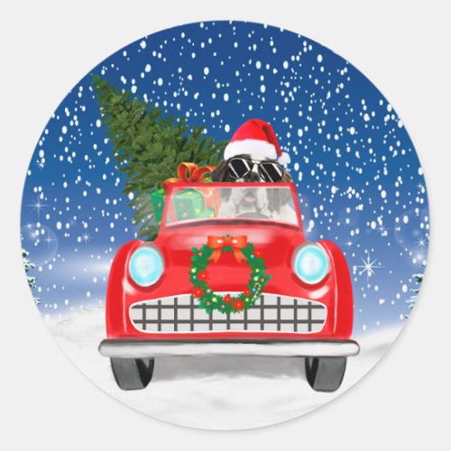 Saint Bernard Dog Driving Car In Snow Christmas  Classic Round Sticker