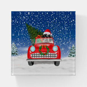 Saint Bernard Dog Driving Car In Snow Christmas  Paperweight