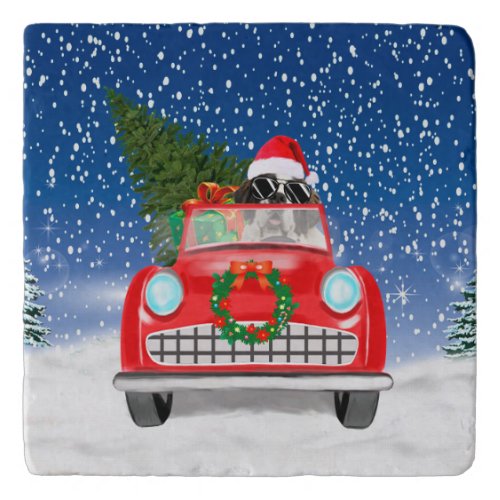 Saint Bernard Dog Driving Car In Snow Christmas Trivet