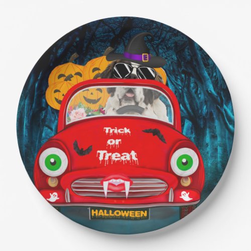 Saint Bernard Dog Driving Car Scary Halloween  Paper Plates