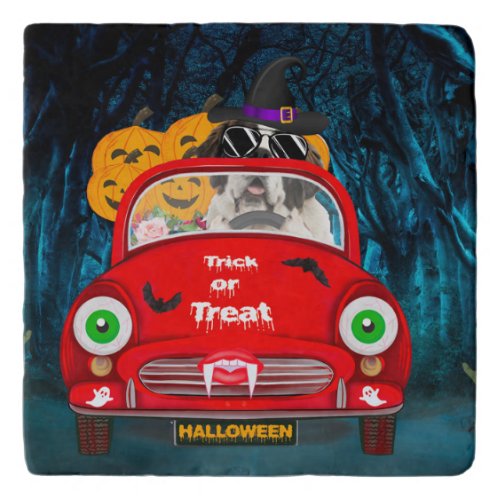 Saint Bernard Dog Driving Car Scary Halloween  Trivet