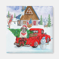 Saint Bernard Dog In Christmas Delivery Truck Snow
