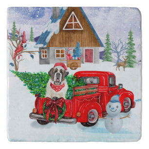 Saint Bernard Dog In Christmas Delivery Truck Snow Trivet
