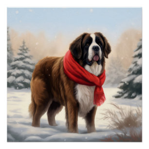 Saint Bernard Dog in Snow Christmas Poster