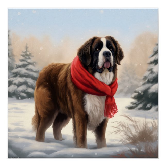 Saint Bernard Dog in Snow Christmas  Poster (Front)
