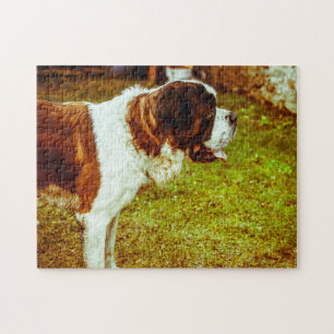 Saint Bernard Dog Jigsaws. Jigsaw Puzzle