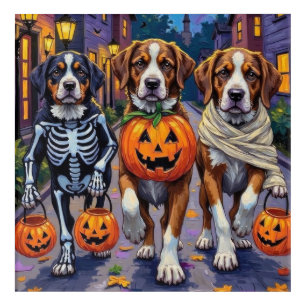Saint Bernard Dogs in Halloween Costumes Acrylic Print