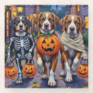 Saint Bernard Dogs in Halloween Costumes Glass Coaster
