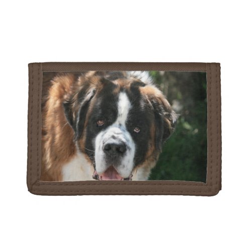 Saint Bernard Face Tri_fold Wallet