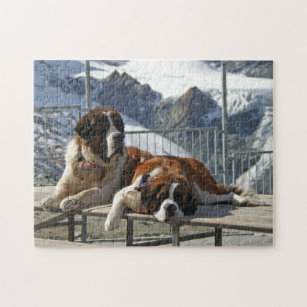  1000 Piece Puzzle Purebred St Bernard Dog Indoor