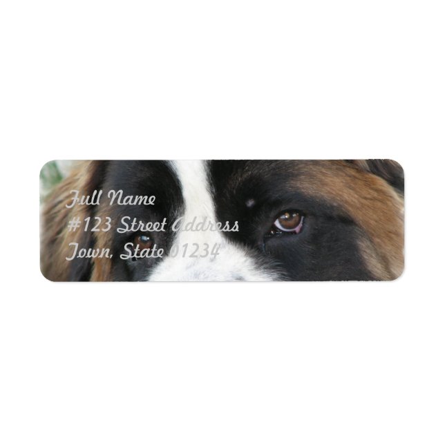 Saint Bernard Mailing Label (Front)