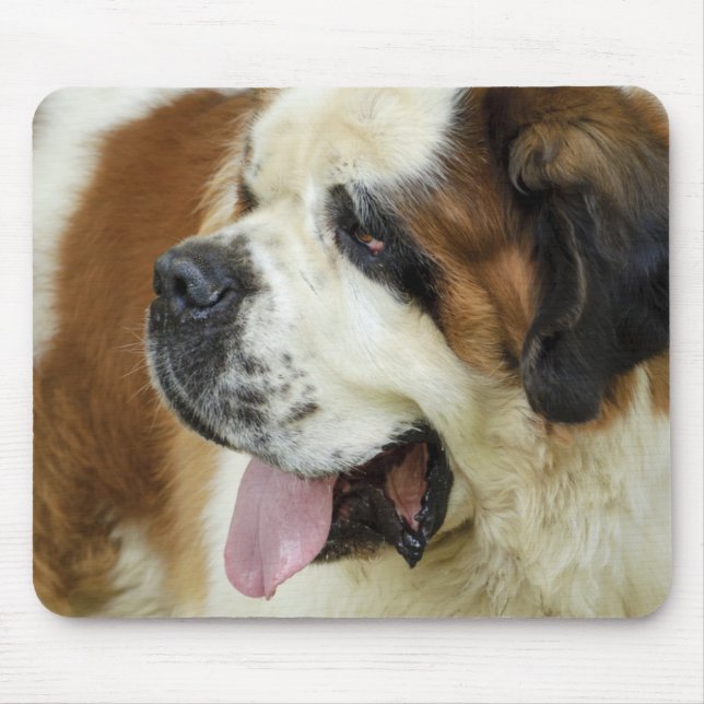 saint bernard mouse pad (Front)