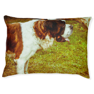 Saint Bernard. Pet Bed