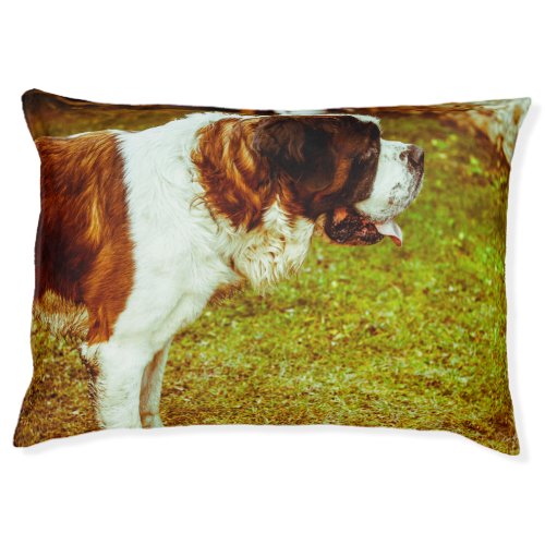 Saint Bernard Pet Bed