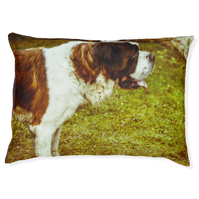 Saint Bernard. Pet Bed (Front)