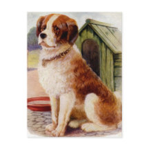 Saint Bernard