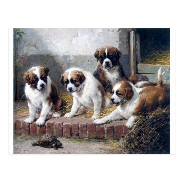 Saint Bernard puppies turtle cute painting dogs Postcard