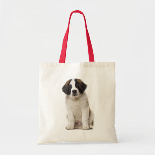 st bernard accessories
