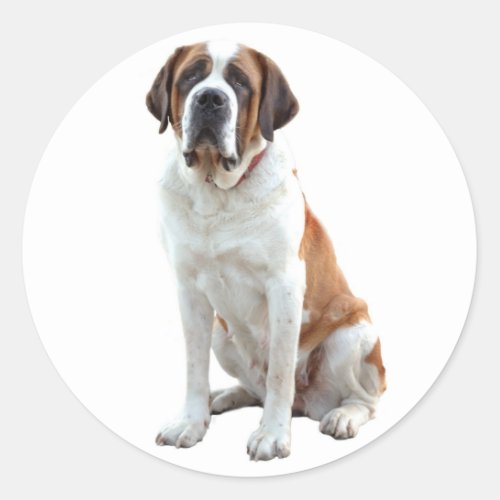 Saint Bernard Puppy Dog  Sticker  Label