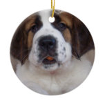 Saint Bernard Puppy Ornament