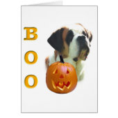 Saint Bernard (smooth) Boo (Front)