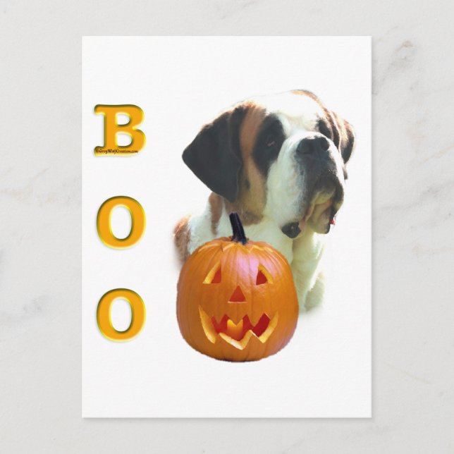 Saint Bernard (smooth) Boo Postcard (Front)