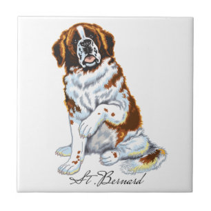 saint bernard tile