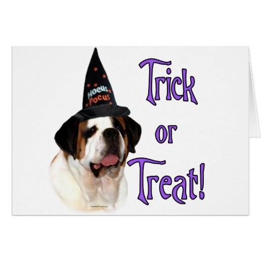 Saint Bernard Trick Cards (Front Horizontal)