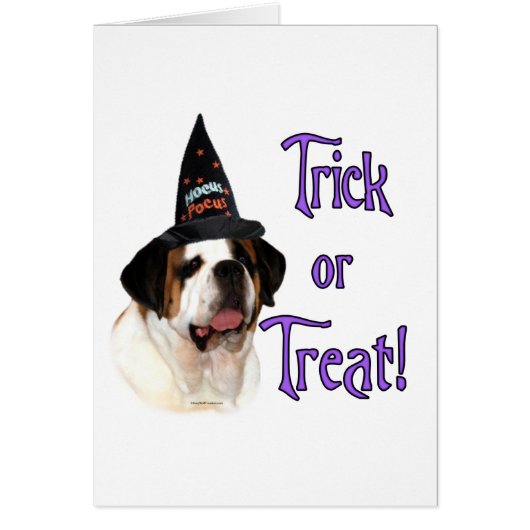 Saint Bernard Trick Cards (Front)