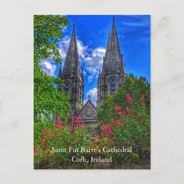 Saint Fin Barre's Cathedral Cork, Ireland Postcard (Front)