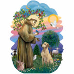 Saint Francis and Yellow Labrador Statuette<br><div class="desc">Saint Francis,  the patron saint of animals,  is shown here blessing a yellow Labrador Retriever.  (The figure of Saint Francis was adapted from the 14th century masterpiece of Saint Francis by Giotto.</div>