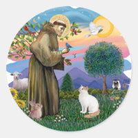 Saint Francis - Turkish Van cat