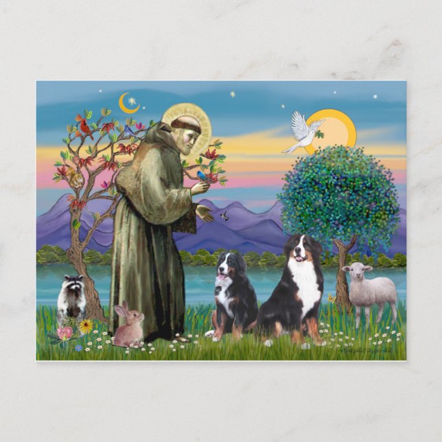 Saint Francis - Two Bernese Mountain Dogs Postcard (Front)