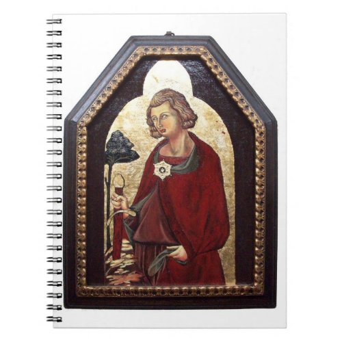 SAINT GALGANO  LEGEND OF THE SWORD IN THE ROCK NOTEBOOK