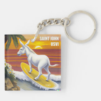 Saint John US Virgin Islands Funny Donkey Surfing Keychain