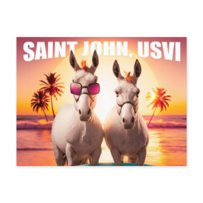 Saint John USVI Donkeys on the Beach Funny Unique Postcard