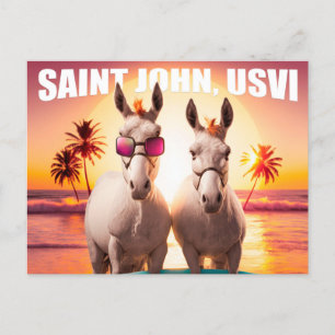 Saint John USVI Donkeys on the Beach Funny Unique Postcard