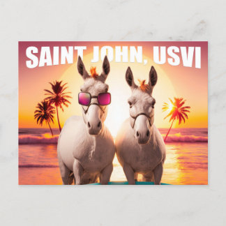 Saint John USVI Donkeys on the Beach Funny Unique Postcard