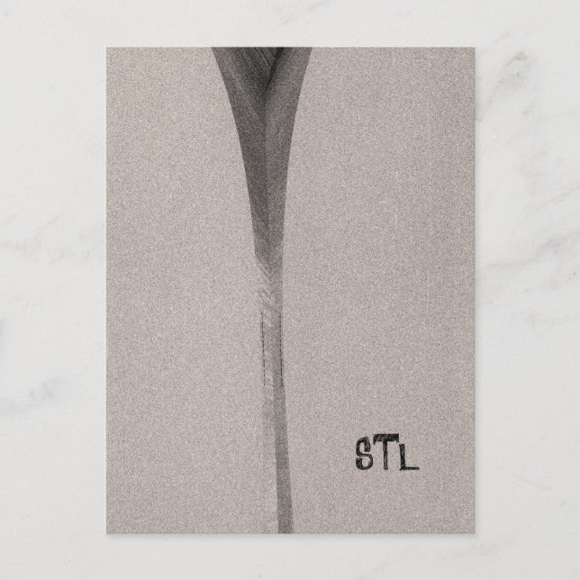 Saint Louis Arch Postcard (Front)