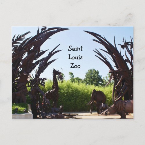 Saint Louis Zoo Postcard