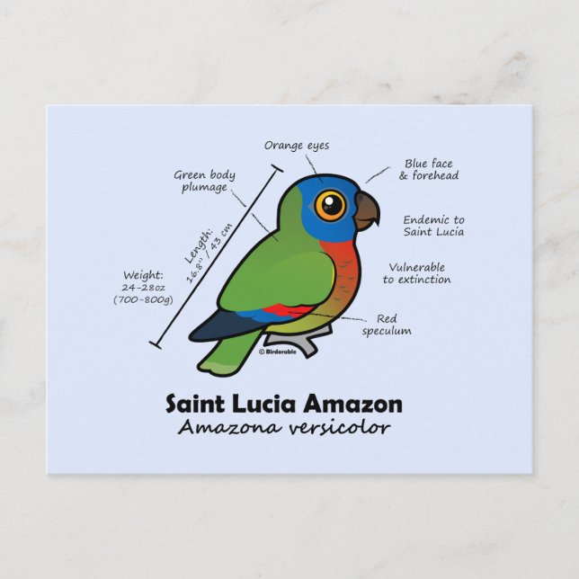 Saint Lucia Amazon Statistics Postcard (Front)