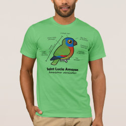 St Lucia Amazon Statistics Men's Basic American Apparel T-Shirt