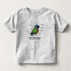 St Lucia Amazon Statistics Toddler Fine Jersey T-Shirt