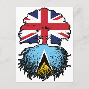 Saint Lucia Saint Lucian British UK Tree Roots Postcard