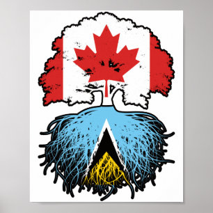 Saint Lucia Saint Lucian Canadian Canada Tree Root Poster
