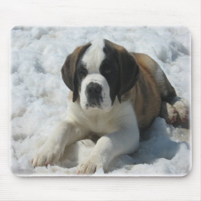 Saint_mousepad Mouse Pad (Front)