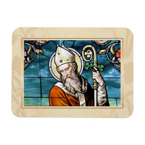 Saint Patrick Gift  Magnet