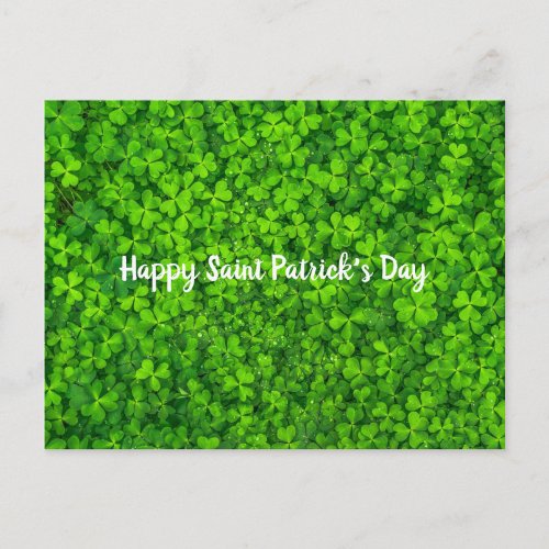 Saint Patricks Day Irish Green Shamrock Postcard