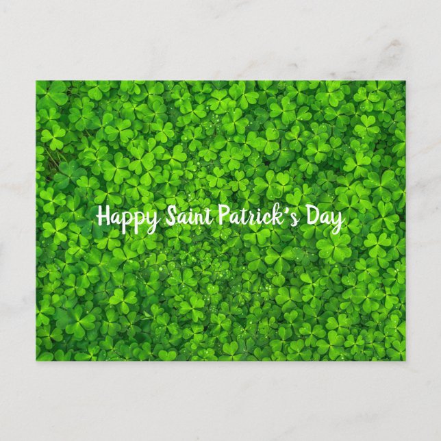 Saint Patrick's Day Irish Green Shamrock Postcard (Front)